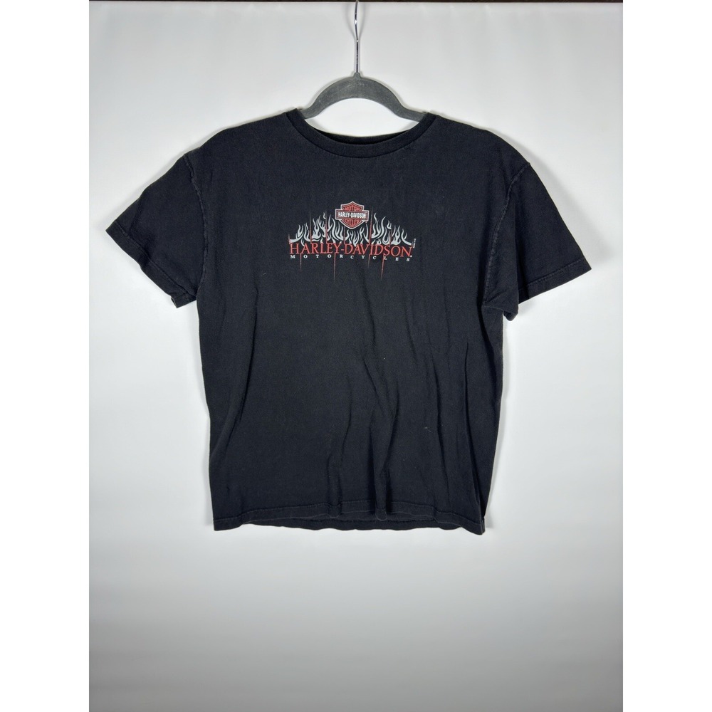 Vintage 2001 Harley Davidson Flames TShirt Mens Size L Evansville IN Black Logo